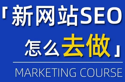 SEO怎么填？从新手到高手的全面指南