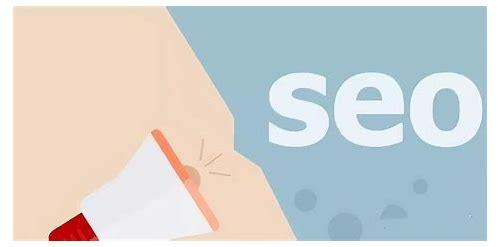 SEO观察简介
