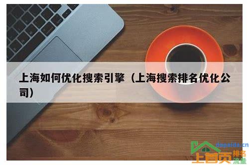上海seo关键词排名软件