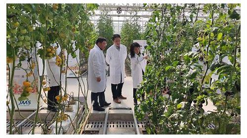 丹阳SEO优化技巧大揭秘：提升网站排名的实用方法