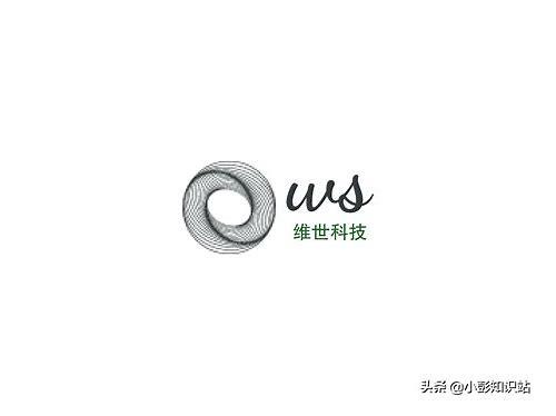 遂宁SEO优化全攻略：提升本地企业网络曝光与流量转化
